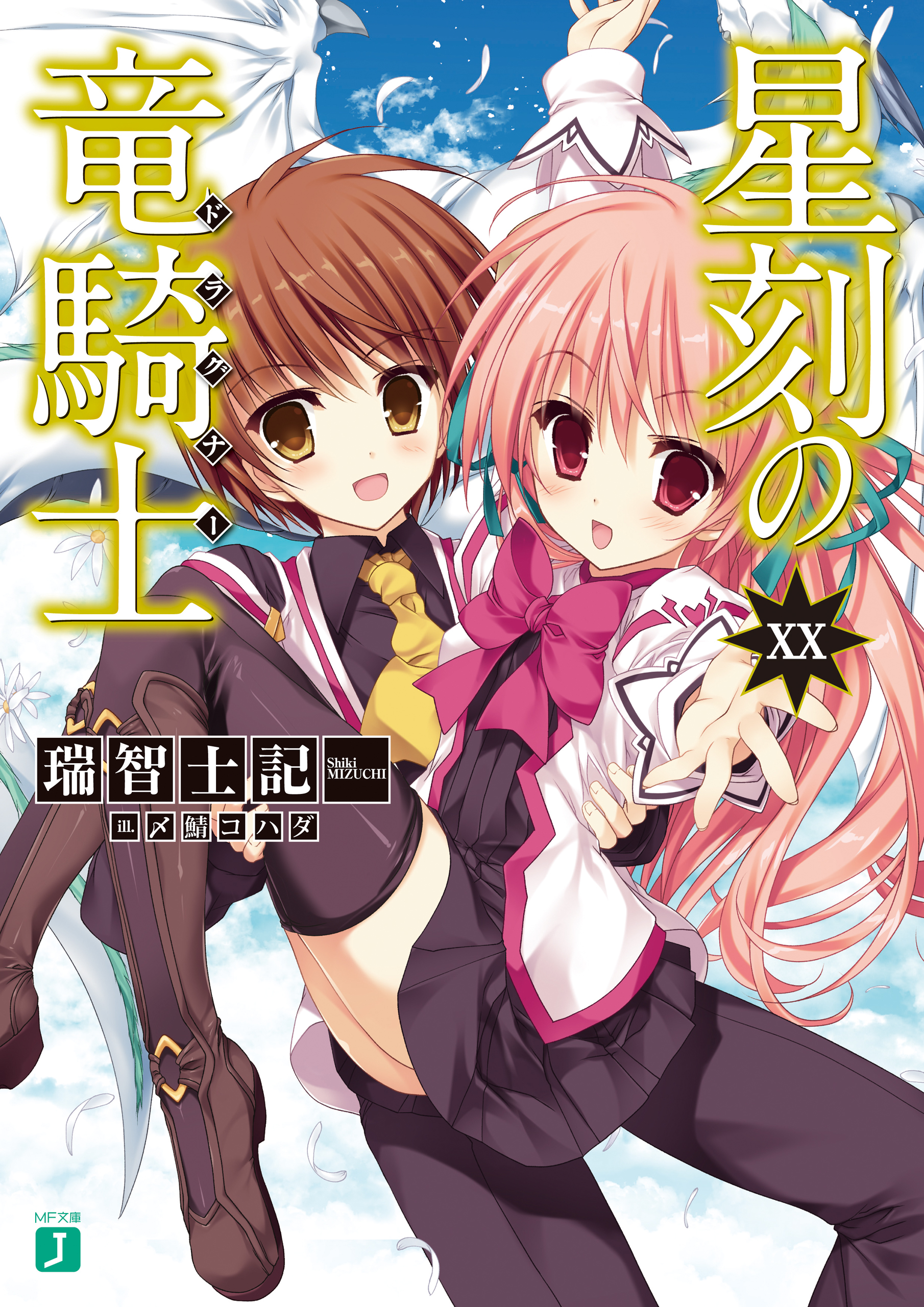 seikoku no ryuu kishi light novel english seikoku no ryuu kishi light novel english